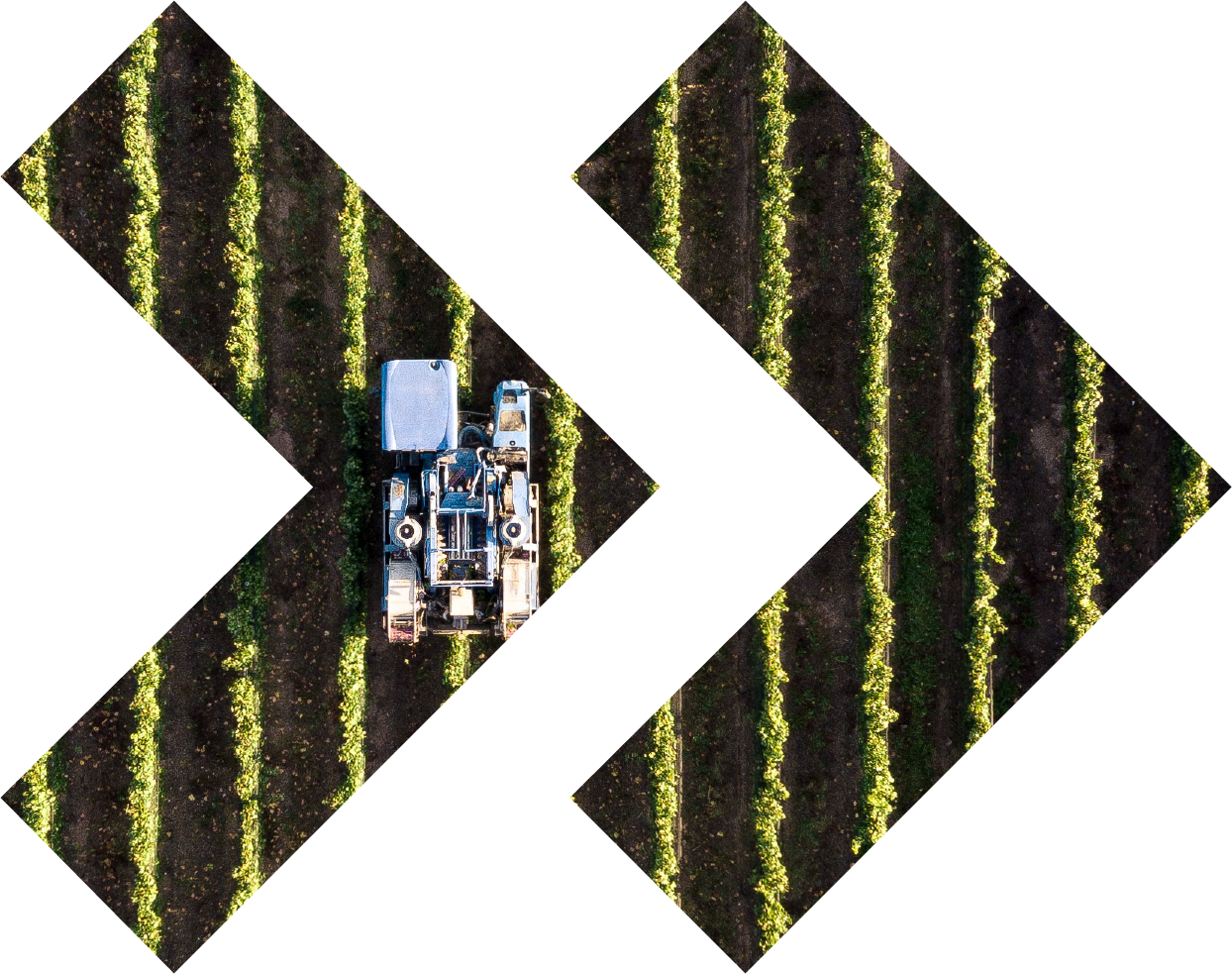Agriculture